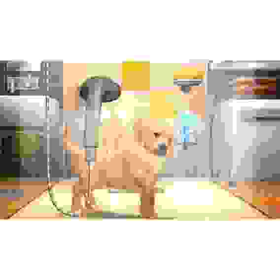 Pets